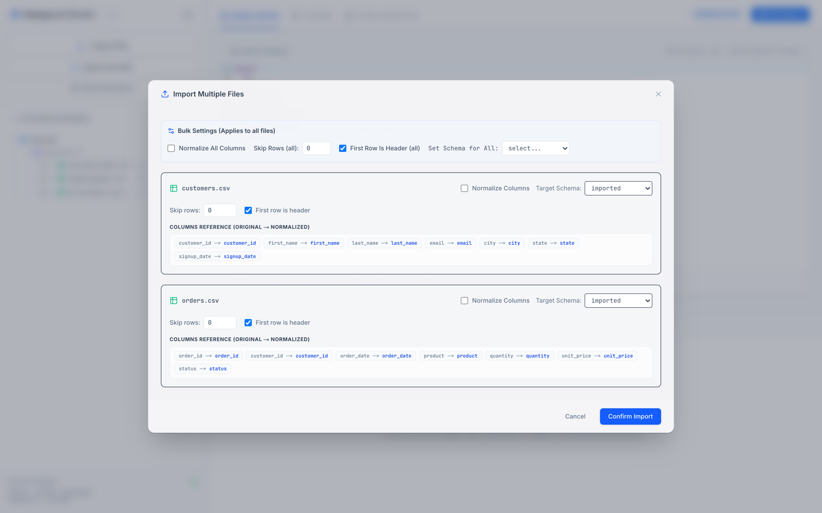 The import preview panel showing per-file parse options and column mappings